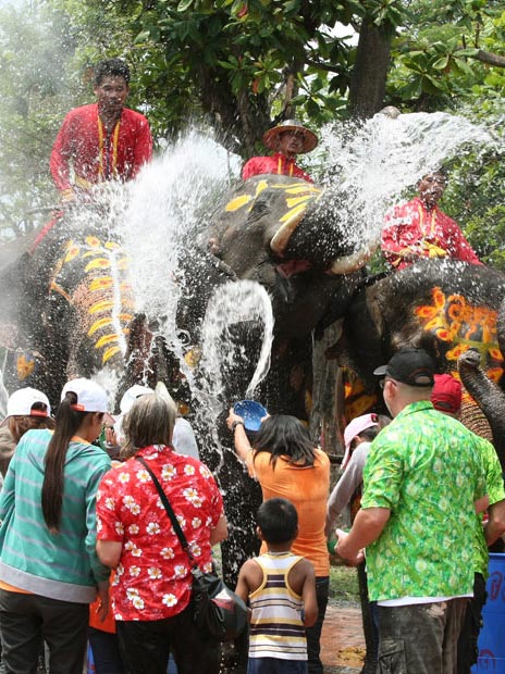 فستيوال سنتي آب در پارك فيل ها در تايلند