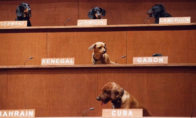 کمیسیون حقوق بشر سازمان ملل