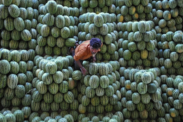 بازار میوه حیدرآباد