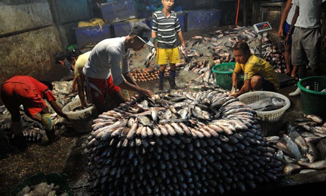 بازار ماهی