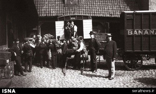 روزی که موز وارد نروژ شد! (+عکس)