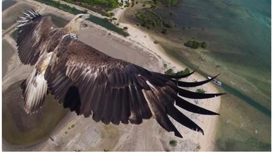 بهترین عکس های پهپادی 2014 (+عکس)