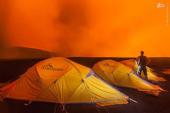 کریسمس مهیج یک جوان انگلیسی (+عکس)