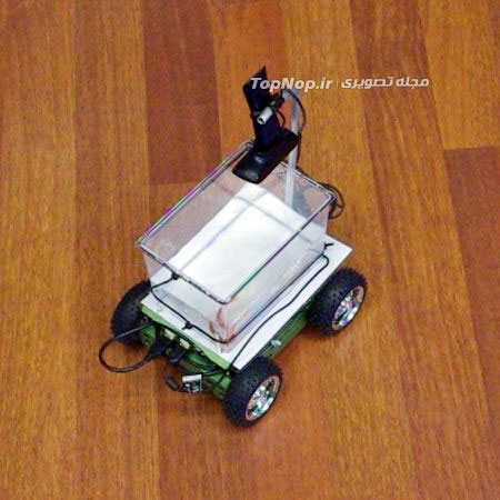 ویلچر برای ماهی! (عکس)