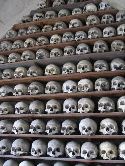 دیوارهای اسکلتی (+عکس)