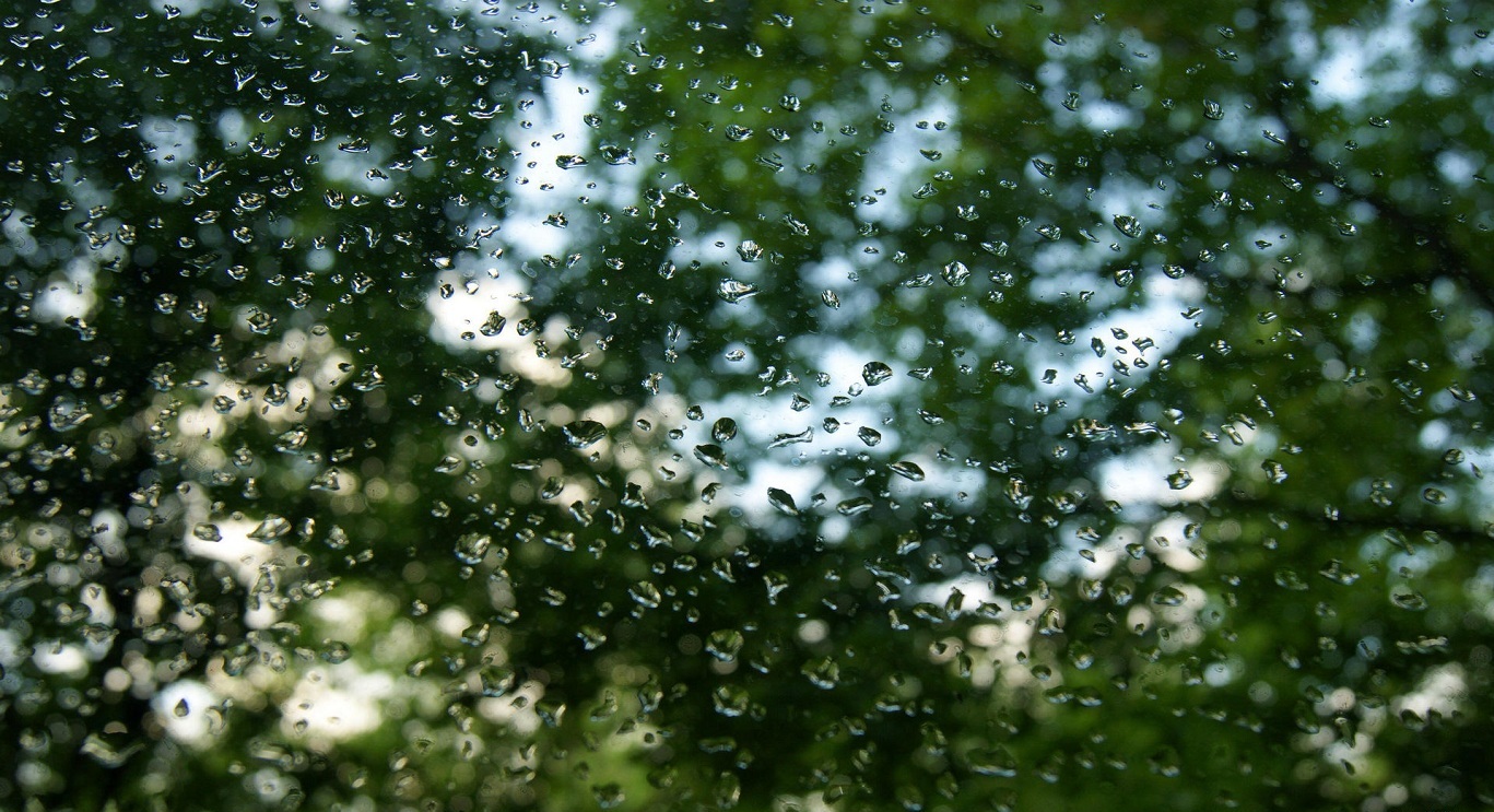 این تصاویر زیبا را ببینید!