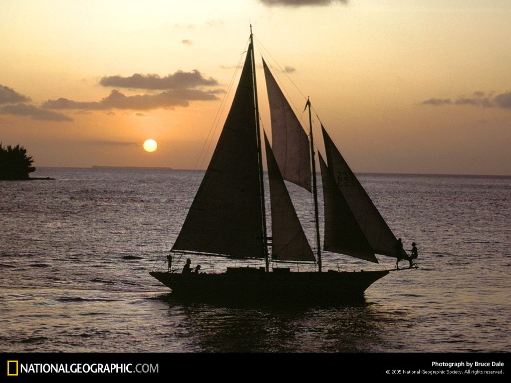 از نشنال جئوگرافیک(عکس)