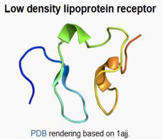پرخورها را سرزنش نکنید، ژن‌ها مقصرند!
