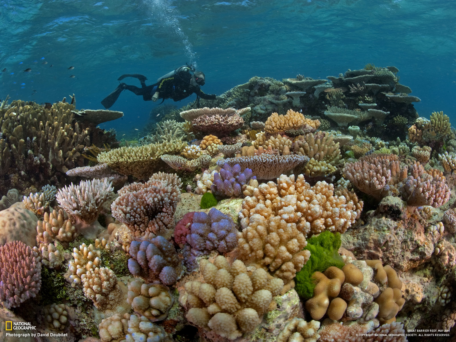 از نشنال جئوگرافیک(عکس)