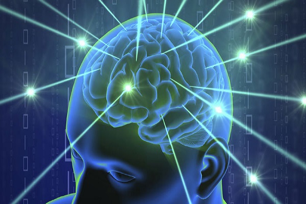 کشف ارتباط ژنها با اندازه مغز انسان کشف ارتباط ژنها با اندازه مغز انسان