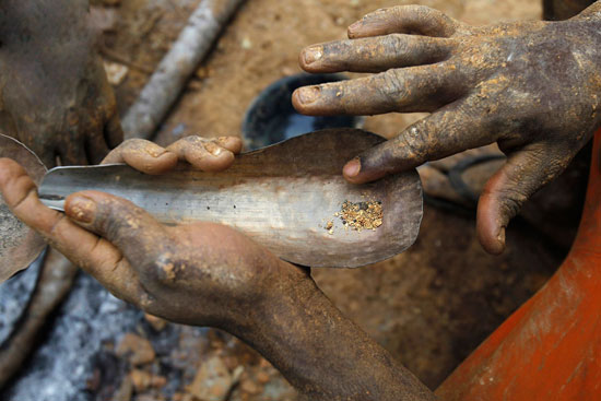 بیخیال کاکائو، طلا رو بچسب! (+عکس)