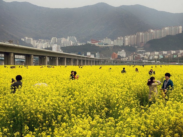 دیدنی های امروز