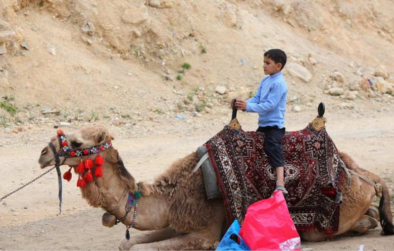 دیدنی های امروز