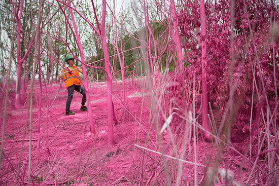 هنری زیبا در مسیر راه آهن (عکس)