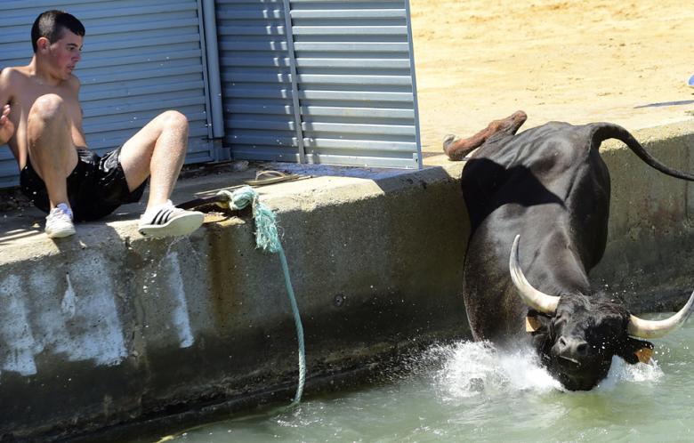 دیدنی های امروز