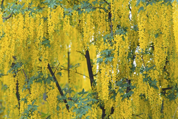 مناظر فوق العاده(عکس)