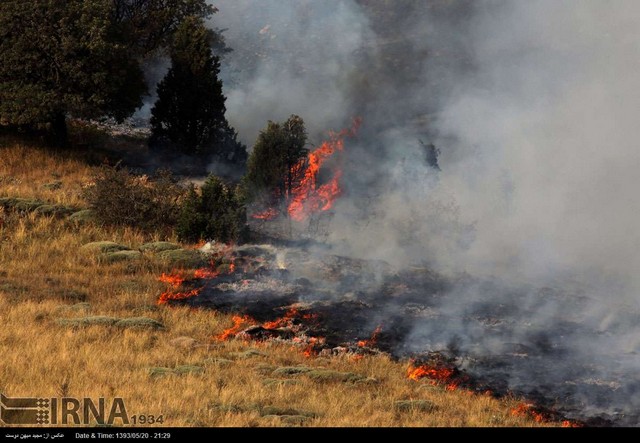 آتش سوزی در پارک ملی گلستان (عکس)
