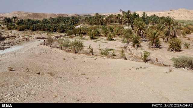 خشکسالی در نخلستان‌های ایلام (+عکس)