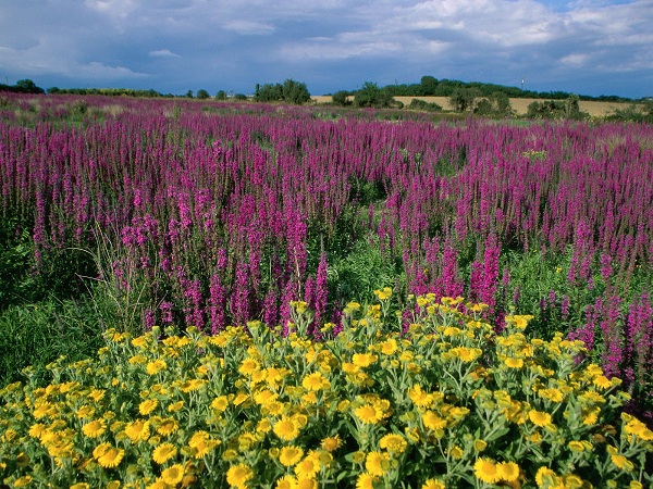 مناظر دیدنی(عکس)