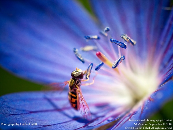 این تصاویر زیبا را ببینید!