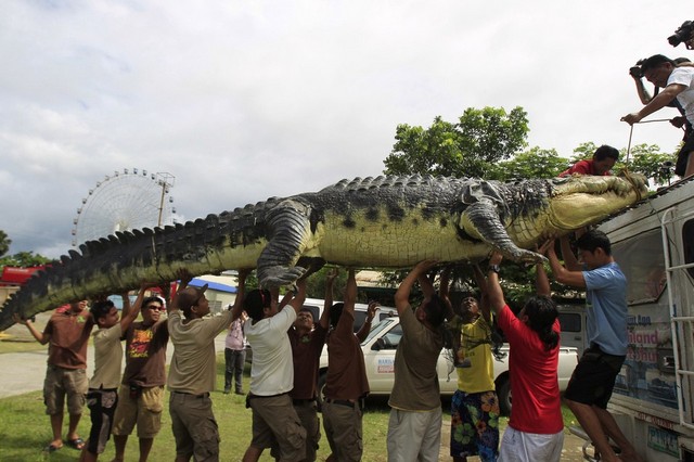 دیدنی های امروز