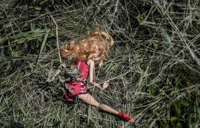 دیدنی های امروز