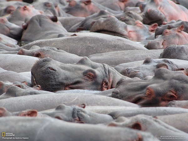 این تصاویر زیبا را ببینید!