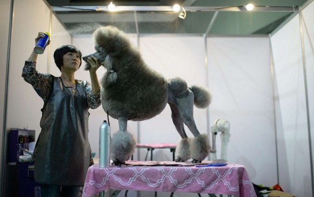 دیدنی های امروز