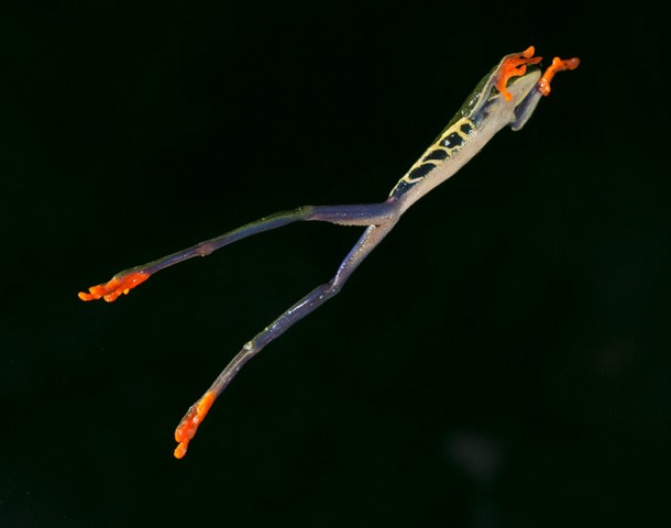 دیدنی های امروز