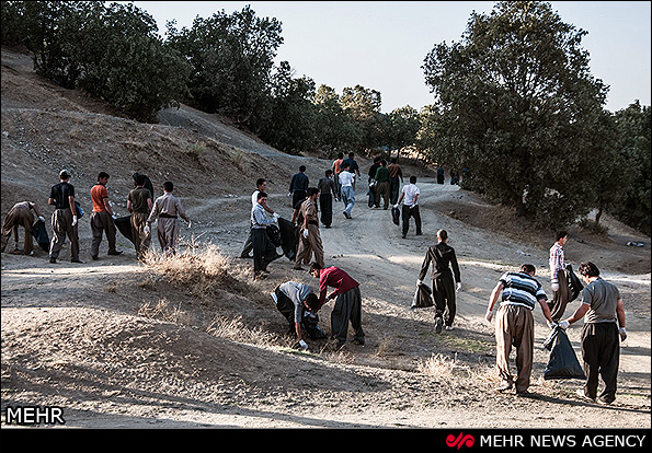 پاکسازی جنگل مریوان کردستان (عکس)