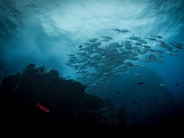 دیدنی های امروز