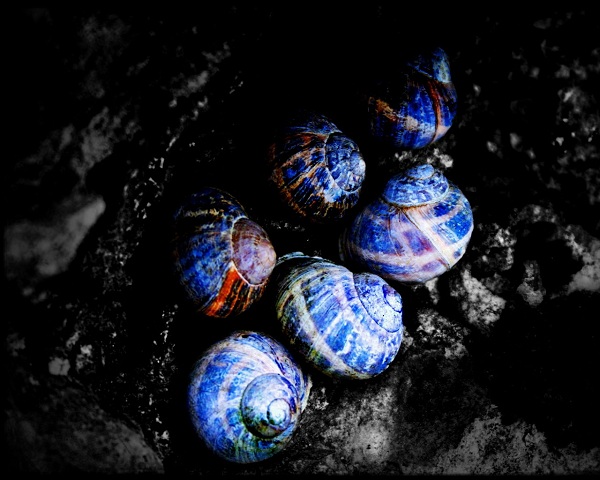 این تصاویر زیبا را ببینید!