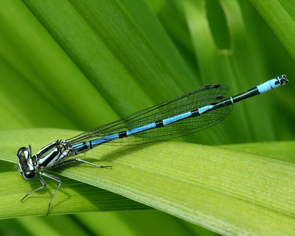 این تصاویر زیبا را ببینید!