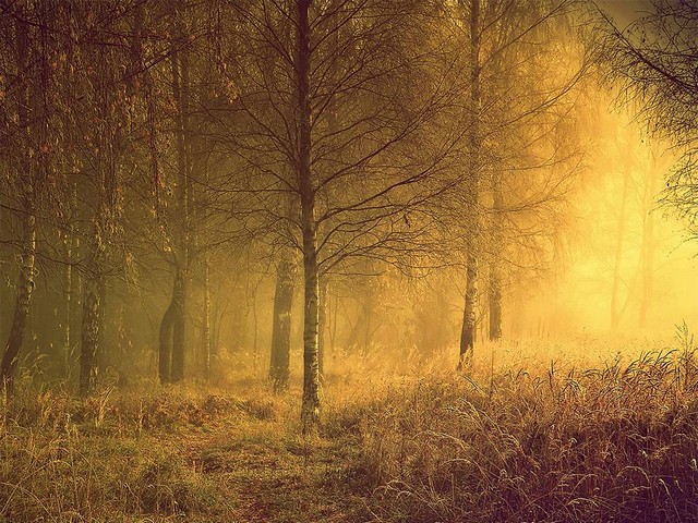 دیدنی های امروز