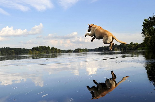 دیدنی های امروز