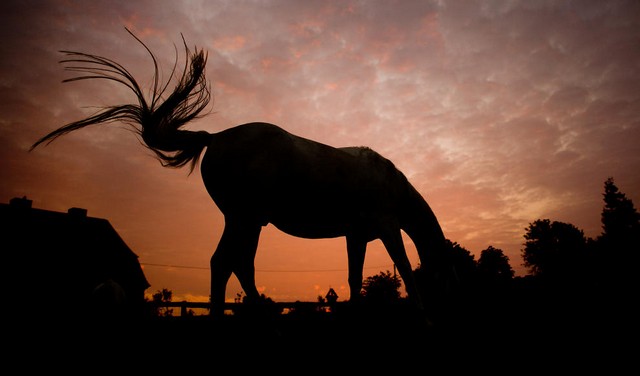 دیدنی های امروز