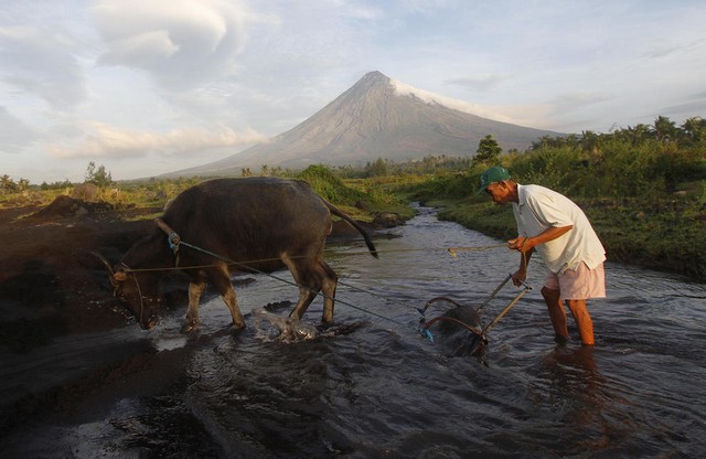 دیدنی های امروز