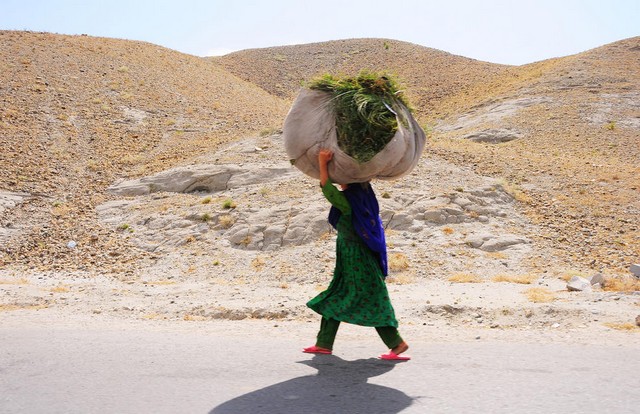 دیدنی های امروز دیدنی های امروز