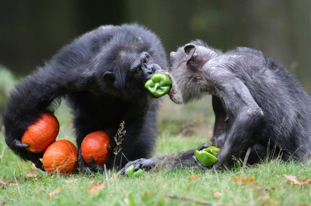 دیدنی های امروز