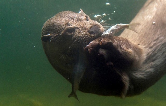 دیدنی های امروز