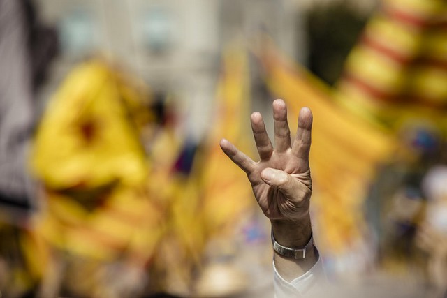 دیدنی های امروز