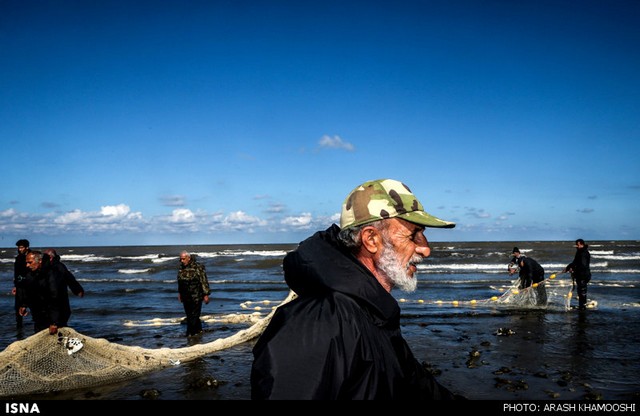 صید ماهی در شمال (عکس)