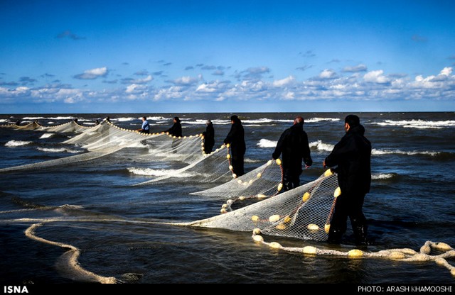 صید ماهی در شمال (عکس)