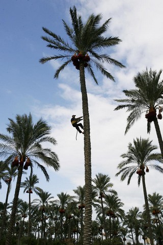 دیدنی های امروز دیدنی های امروز