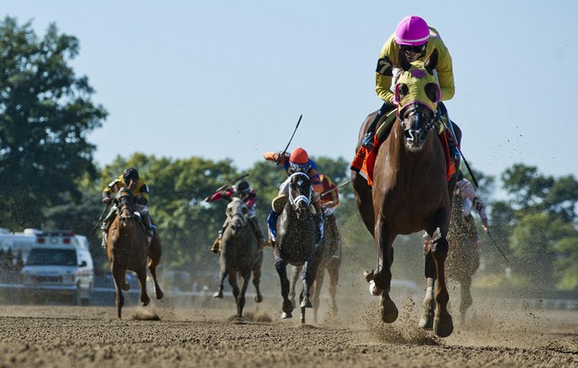 دیدنی های امروز دیدنی های امروز