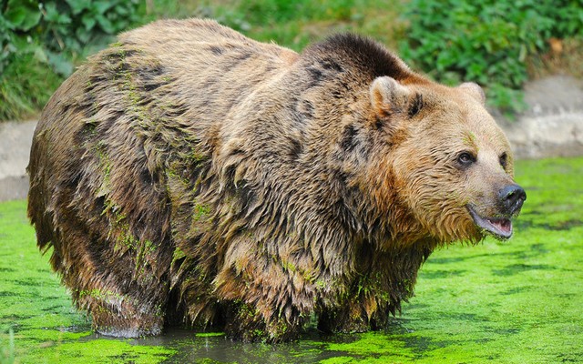 دیدنی های امروز دیدنی های امروز