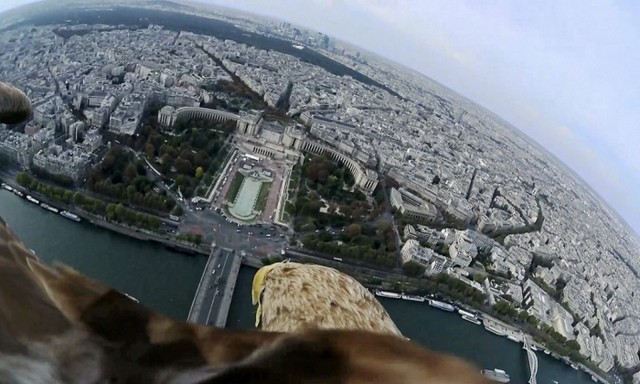 دیدنی های امروز