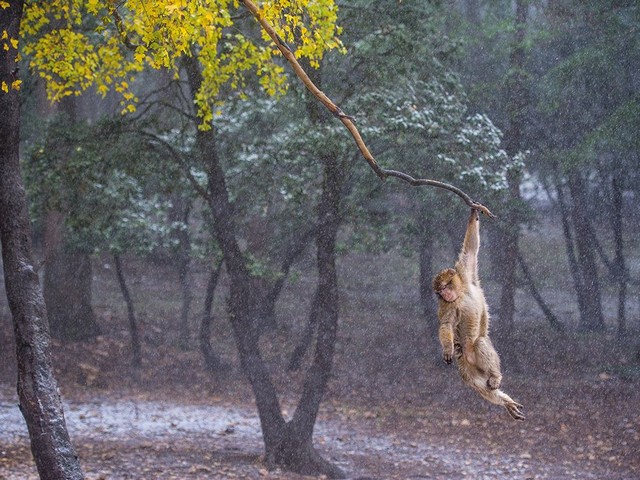 دیدنی های امروز