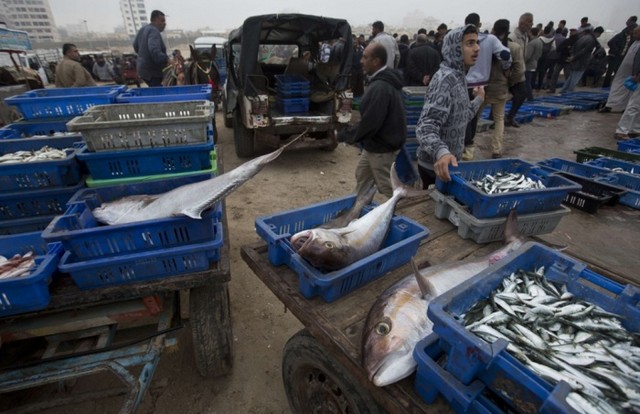 دیدنی های امروز دیدنی های امروز