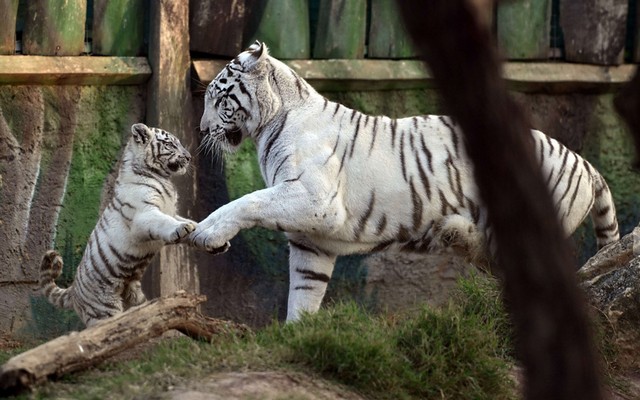 دیدنی های امروز دیدنی های امروز